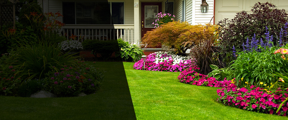 Water Valley Landscapers