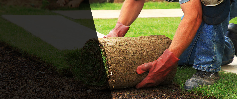 Water Valley Landscapers